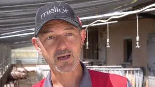 proteinmarkt Betriebsreportage Zumbach