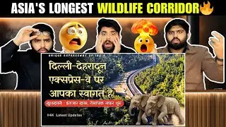 Reaction On Asia’s Longest Wildlife Corridor | संरक्षण | Pakistani Reaction 🔥