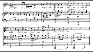 Franz Schubert - Wandrer Nachtlied (audio+score)