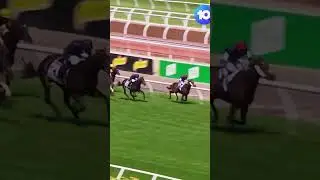 How did TWILIGHT PAYMENT hold on to win the 2020 #MelbourneCup&hellip; ⁉️🤯