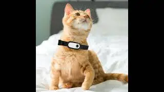 Revolutionary Pet Tracking: How Smart Collars Are Changing Pet Safety