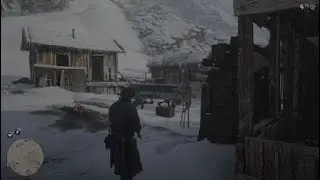 Red Dead Redemption 2 -Parte 2
