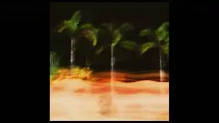 PALM TREES AROUND YOU