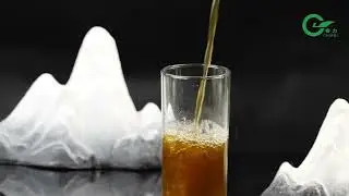 Discover the Art of Gunpowder Green Tea 3505