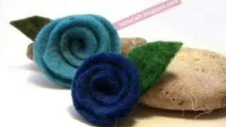 FIOR DI CUCUZZA