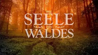Die Seele des Waldes - Film & Buch