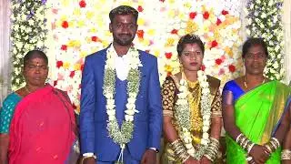 Prasad weds Manasa veena Reception