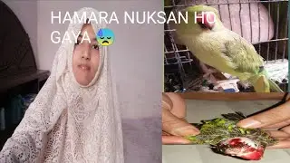 RAMADAN DAY 8 | Ficher Madi 😓 mar gai | SUMAIKA VLOG |