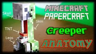 The Complete Anatomy of a Creeper : Why do they Explode? (Minecraft Papercraft)