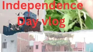 Independence Day Special Vlog/15 August Vlog/Daily Vlog