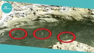 Pesci nel Mar Morto, fine del mondo vicina?/ Fotoreporter: &ldquo;Ecco la profezia di Ezechiele&rdquo;