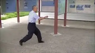 Grandmaster Wing Lam: Xing Yi  (Five Elements, Continuous, 8-Step Hawk)