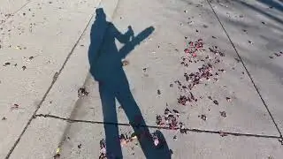SOLO FALL CLEAN UP? I love when the leaves FALL and the wind BLOWS