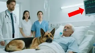 A Veteran&rsquo;s Final Moments Were Grim... Until His Dog Performed a Miracle No One Could Explain!!