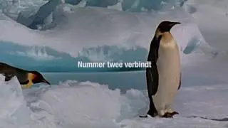 Pinguinfilmpje Juni 2014