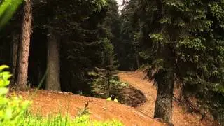 Anders W&uuml;rsten