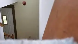 toilet plunger to the wall flip trickshot