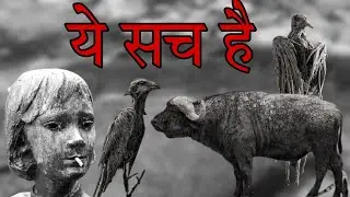 यहां आज भी हर जीव पत्थर बन जाता है 😱 ।। cursed water ।।