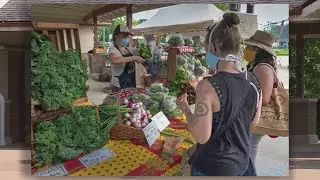 EarthDance Farm creates new program to provide affordable, fresh produce during pandemic