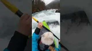 Whitewater Chaos with My Cat&mdash;He Actually Meowed Under the Splash🌊帶貓泛舟趣#bravecat ##catmeow #catmemes