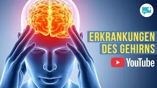 Erkrankungen des Gehirns: Einf&uuml;hrung, Aufbau, Sch&auml;del-Hirn-Trauma, Hirnhautentz&uuml;ndung, Hirntumor,...