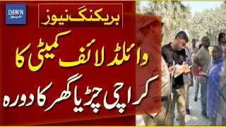 Wildlife Committee Visits Karachi Zoo On Court&rsquo;s Orders | Breaking News | Dawn News