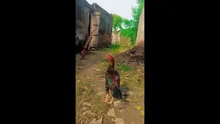 talking toom cat