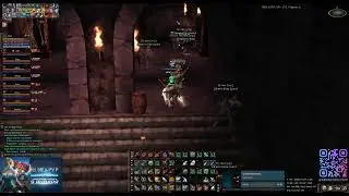 ДРАКИ / Euro-PvP x100 / SYBER