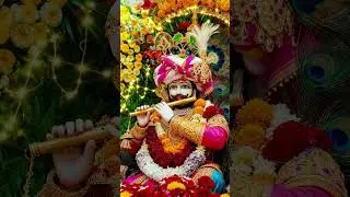 bigadi Hui taqdeer sabrati hai dham pe hoti hai subah #khatushyam #khatu #shyam