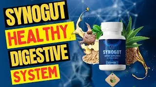 Synogut Probiotic Supplement That Improves Digestive Health