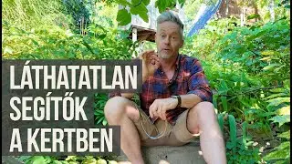 Hogyan seg&iacute;t a mikrobiol&oacute;gia a kertben? | kert TV