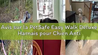 Avis sur la PetSafe Easy Walk Deluxe Harnais pour Chien Anti-Traction Parfait pour Le Dressage de La