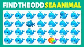 Find The Odd One Out - Sea Animal Edition 🐳🐬🐳 | Easy, Medium, Hard - 40 Ultimate Levels | Cow Quiz