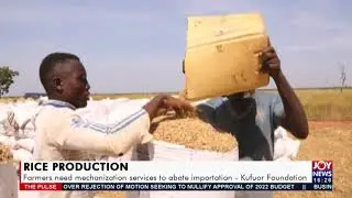 Rice Production: Farmers need mechanization services to abate importation &ndash; The Pulse  (13-12-21)