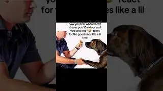 Fresh memes from Instagram