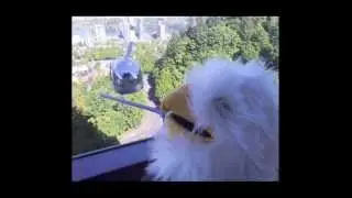 US Navy Tribute to Seal Team 6 & Their Loved Ones / OHSU1MASH