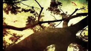 Aeon Spoke - Grace