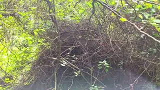 CAMINATAS Y AVENTURAS AL EXTREMO HOY ES UN NUEVO DIA Y RECIBAN UN. CORDIAL SALUDO. Y. SUSCRIBETE