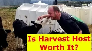 Is Harvest Host worth it!?