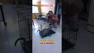 Cat Cage Unboxing | Amazon Basics #shorts