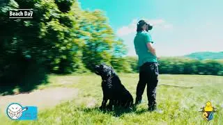 Camera Butter LUTs overview
