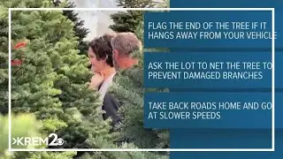 AAA shares safety tips for transporting real Christmas trees