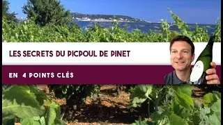 Les secrets du PICPOUL de Pinet, en  4 points cl&eacute;s (Le&ccedil;on n&deg;193)