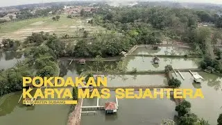 Pokdakan Karya Mas Sejahtera Kab. Subang