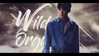 강다니엘· WILD ORGY · /Kang Daniel· FMV/
