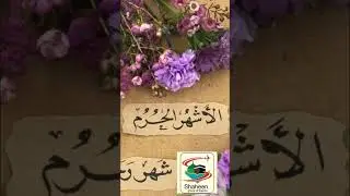 Pakeeza Studio Official 786#live#live#beautiful#beautiful #love#hijabi#music#quotes#islamicdesign