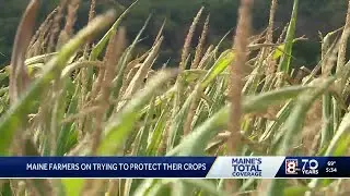 Farmers talk about crop insurance during drought
