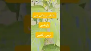 Urdu Poetry || Rain Poetry || Barish Poetry || Sad Urdu Poetry || WhatsApp Status Poetry