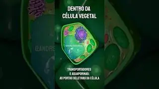 Planta murcha com solo &uacute;mido? 🥀💧 Ou nutri&ccedil;&atilde;o que n&atilde;o 
