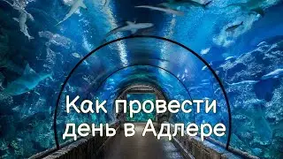 Адлер 2021. Парк Южные культуры. Океанариум Сочи. Как провести день.